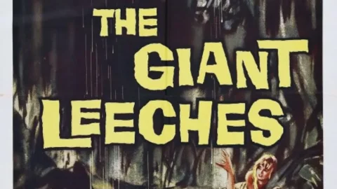 Attack of the Giant Leeches watch free online